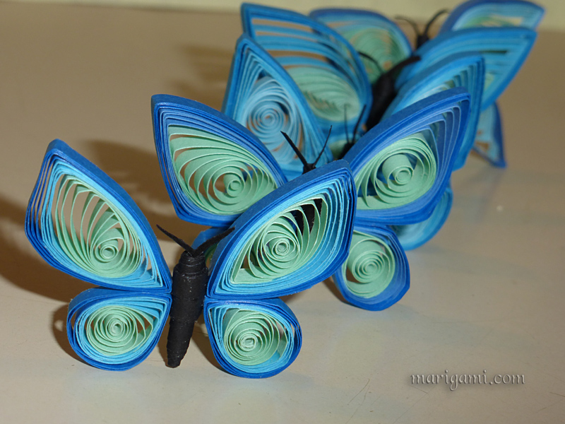 butterflys-Blue-2w.jpg