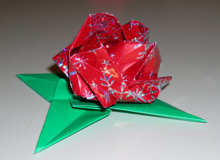 Kawasaki Rose from holiday wrapping paper